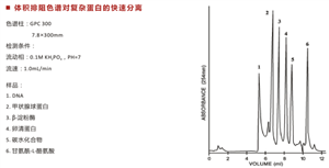 體積排阻色譜柱