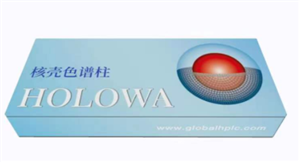 HOLOWA 宣傳單頁(yè)